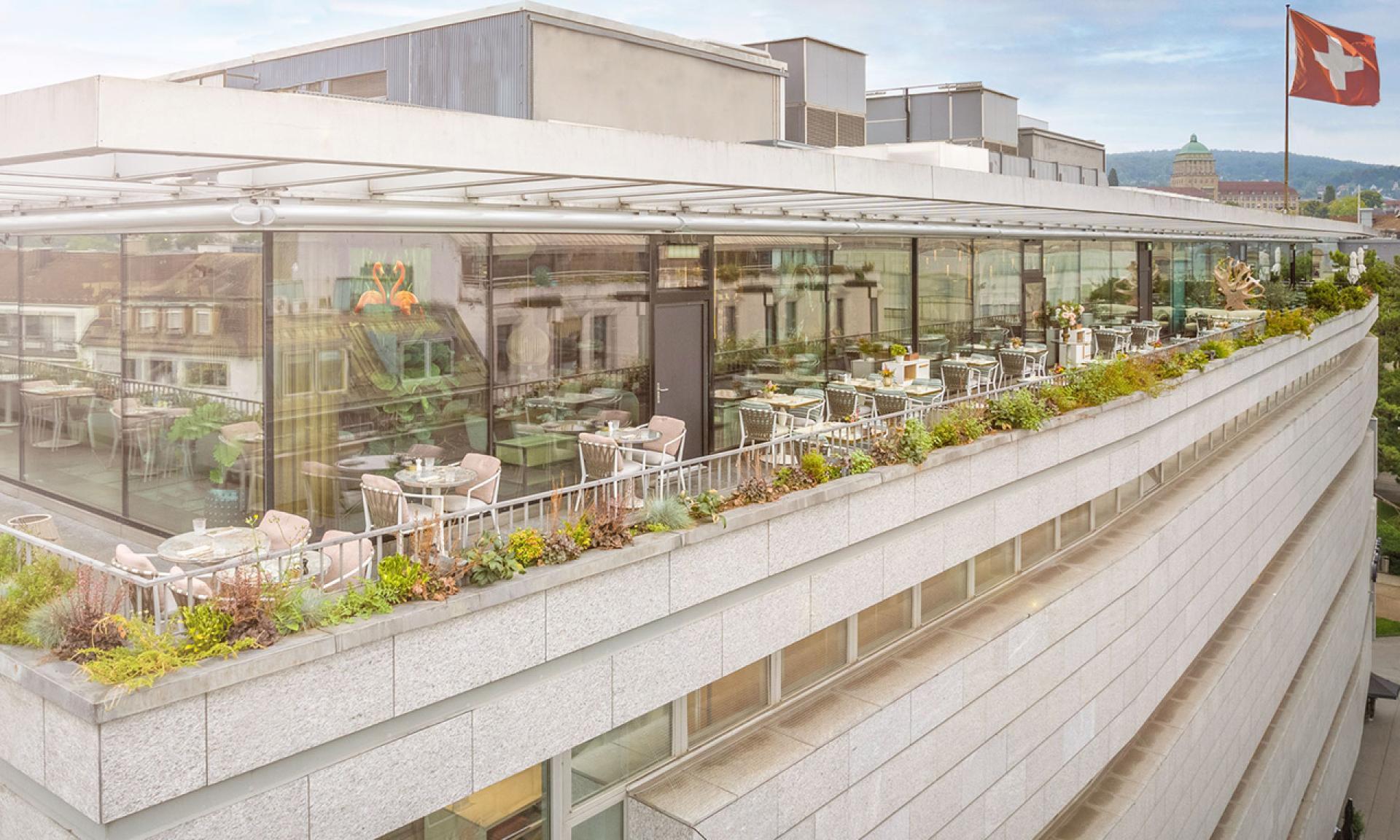 Roof Garden in Zürich – Foto 3