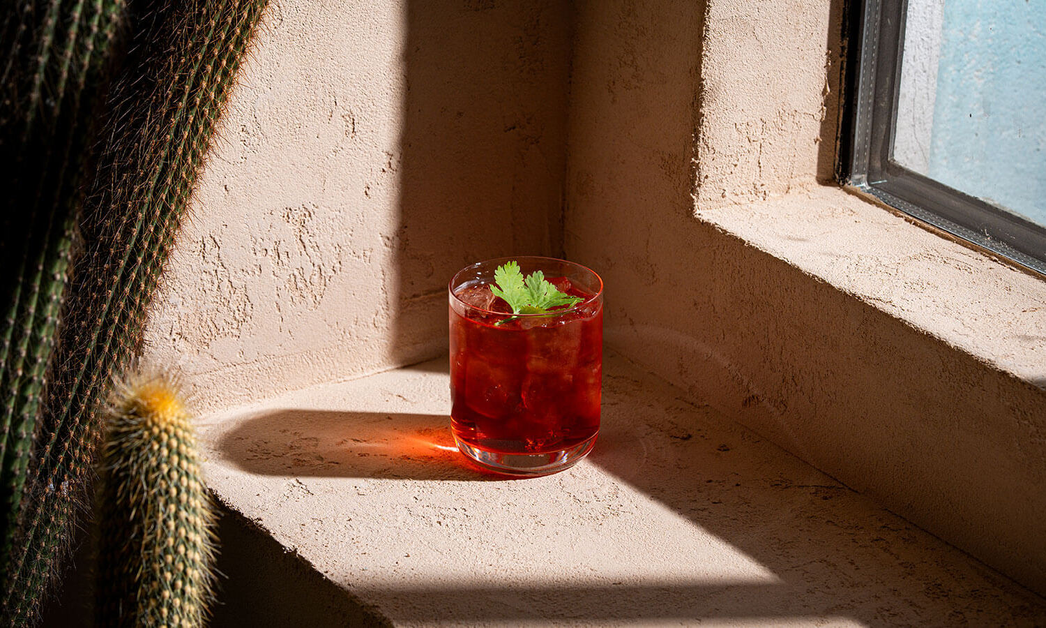 Sinaloa in Zürich – Foto 4