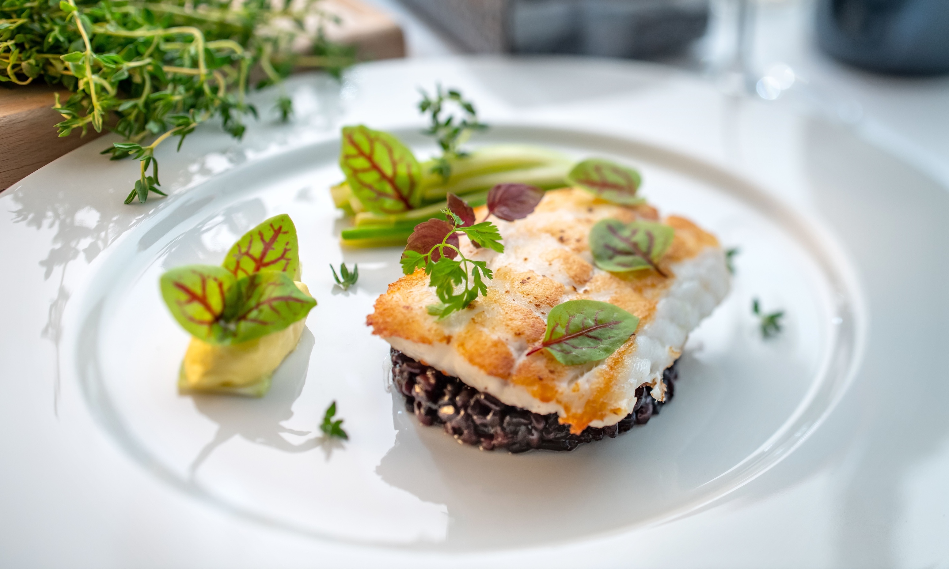 Restaurant Olivo in Luzern – Foto 2